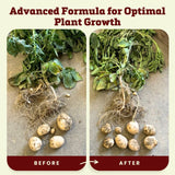 Blooms Super Sprout 10-3-3 Fertilizer