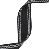 Caviar Webbing with Stitched Double Borders in White - 1"