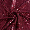 1 Yard Shimmering Sequin Fabric Stretch Mesh 54 Inch Width for Dresses & Decor