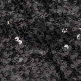 Black on Black Sequined and Embroidered Lace