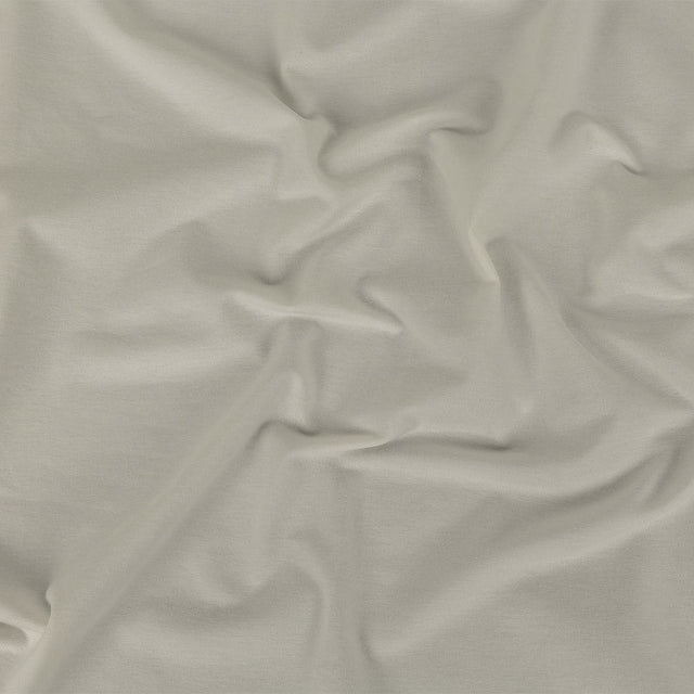 Sugar Swizzle Stretch Cotton Jersey