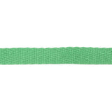 Absinthe Green Cotton Twill Tape - 0.5"