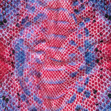 Compression Swimwear Tricot, UV Protective with Aloe Vera Microcapsules - Magenta and Blueberry Python - Caye Collection