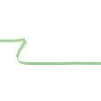 Mint Green Grosgrain Ribbon with Bright White Stitching - 0.25"