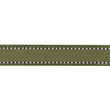 Sage Green Woven Ribbon with Navy and White Stitched Border - 0.625"
