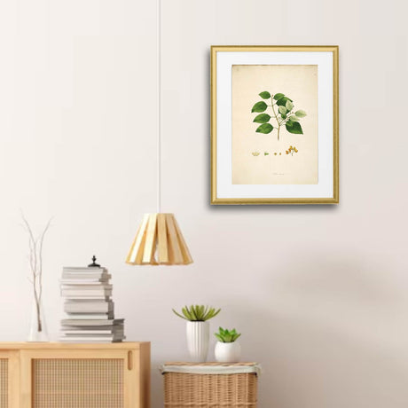 माउंट के साथ गोल्ड फ़्रेम, 16x20" – आसान नो-नेल हैंगिंग, क्षैतिज या ऊर्ध्वाधर!