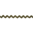 Grayish Green Two-Tone Ric Rac Braid - 0.75"