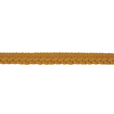 Golden Yellow Braid Trim with Lip - 0.75"