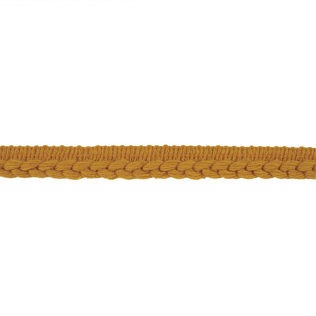 Golden Yellow Braid Trim with Lip - 0.75"