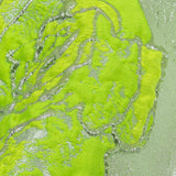 Neon Green, Neon Yellow and Metallic Silver Roses Luxury Brocade