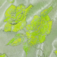 Neon Green, Neon Yellow and Metallic Silver Roses Luxury Brocade