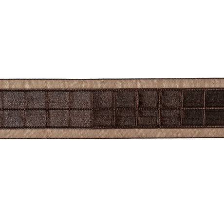 Brown Windowpane Checks and Sheer Borders Woven Ribbon - 1"