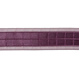 Plum Windowpane Checks and Sheer Borders Woven Ribbon - 1"