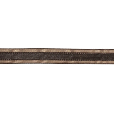 Fudge Woven Ribbon with Sheer Organza Borders - 0.5"
