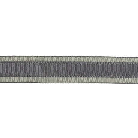 Folkstone Gray Woven Ribbon with Sheer Organza Borders - 0.75"