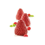Silikomart "Mora & Lampone 110" Baking and Freezing Mold
