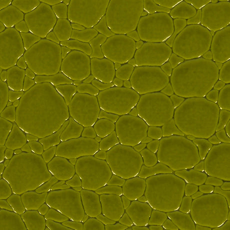 Faux Crocodile Patent Leather - Avocado - Brisbane Collection