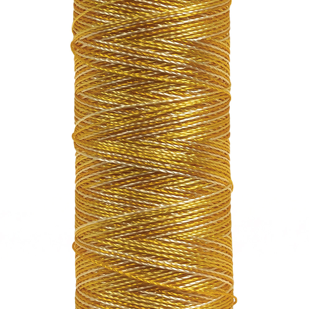 Gutermann Machine Embroidery Thread 200m - 9916 Variegated Sun