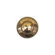 Gold Fancy Faceted Shank Back Plastic Button - 24L/15mm