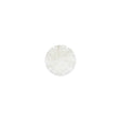 White Bevel Cut Shank Back Plastic Button - 16L/10mm