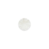 White Bevel Cut Shank Back Plastic Button - 16L/10mm