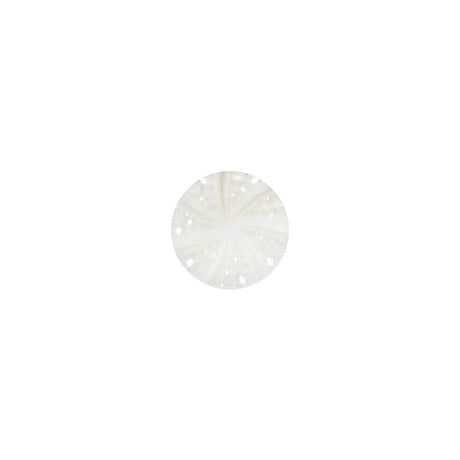 White Bevel Cut Shank Back Plastic Button - 16L/10mm