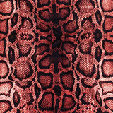 Compression Swimwear Tricot, UV Protective with Aloe Vera Microcapsules - Desert Rose Python Skin - Caye Collection