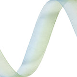 Sheer Blue and Kiwi Ombre Ribbon - 0.875"