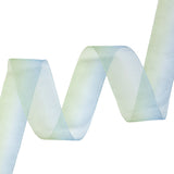 Sheer Blue and Kiwi Ombre Ribbon - 1.5"