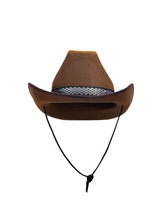 Cowboy Hat