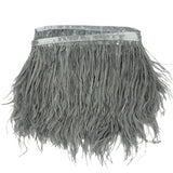 Ostrich Feather Fringe Trim 5" Single Ply - Silver - Aviana Collection