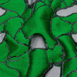 Metallic Black and Green Abstract Luxury Burnout Brocade