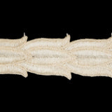 Ivory and White Two-Tone Tulip Chain Embroidered Trim - 1"