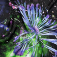 Sustainable and Recycled Viscose Satin Print - Purple, Black and Green Fireworks and Flowers - Mood Exclusive Mirrored in Nature