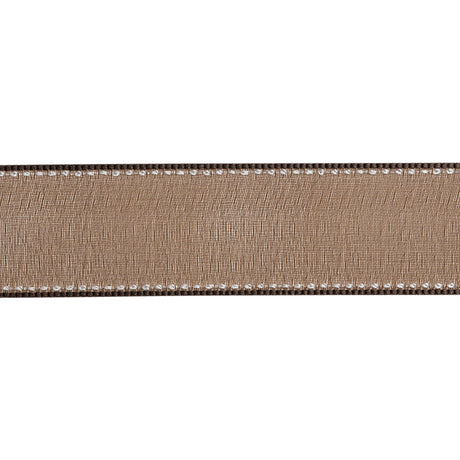 Sheer Ribbon with White Stitched Border - 1" - Brown