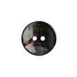 Shell 2-Hole Button - 30L/19mm - Brown and Oilslick