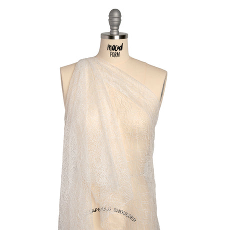 Re-Embroidered Lace - White Abstract Net