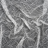 Re-Embroidered Lace - White Abstract Net