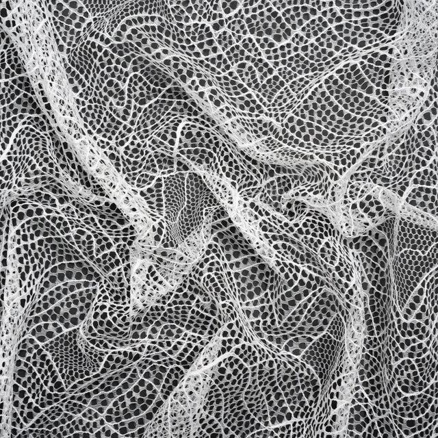 Re-Embroidered Lace - White Abstract Net