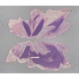 Metallic Luxury Burnout Brocade Panel - Purple, Orchid and Silver Ikat Butterfly Wings