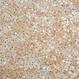 Embroidered and Applique Lace with Gold and Silver Beads and Sequins - Beige Floral Confetti