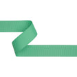 Grosgrain Ribbon - 40mm - Mint