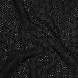 Embroidered Eyelet Cotton Voile - Black Circles of Circles - Naomi Collection
