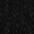 Embroidered Eyelet Cotton Voile - Black All-Over Flowers - Naomi Collection