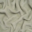 Double Faced Minky Fleece - Pale Sage - Avery Collection