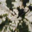 Polyester Mikado - Green and White Ikat Floral Silhouettes - Mood Exclusive Glowscape Garden Print