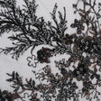 Beaded and Embroidered Tulle with 3D Appliques - Black and Bronze Fanciful Floral Sprays