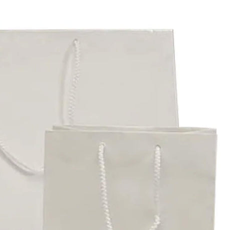 Chic Packaging with 8'' x 4'' x 10'' Glossy Paper Euro Totes
