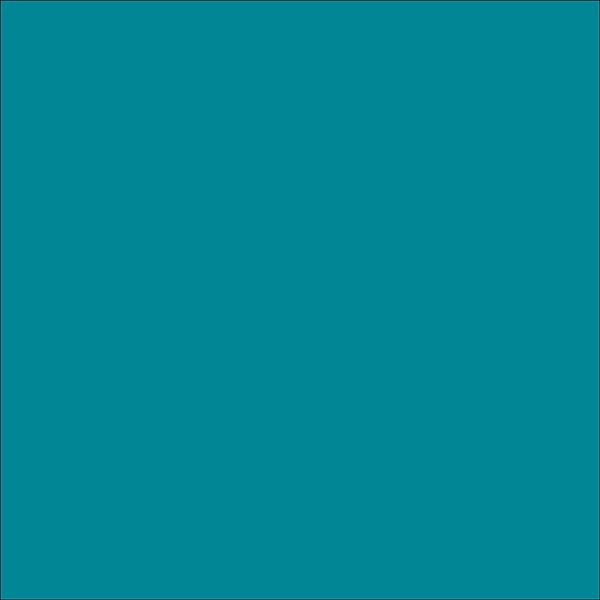 Oracal 631 Exhibition Vinyl Cal Series 48"
