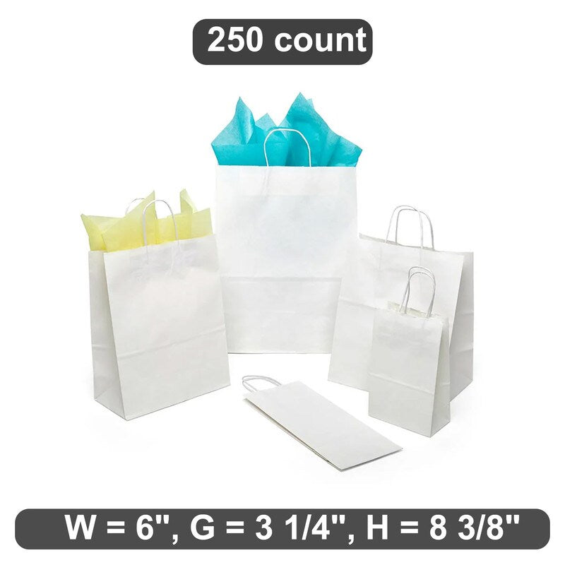 Practical Plain White Kraft Shopping Bag 6" x 3 1/4" x 8 3/8"
